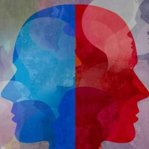 شخصیت پایدار چیست؟