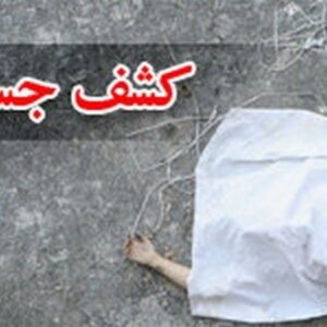 شناسایی پیکر یک زن ایرانی در بوسنی با همکاری قضائی بینالمللی شناسایی پیکر یک زن ایرانی در بوسنی با همکاری قضائی بینالمللی