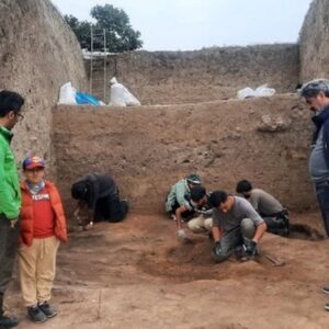 شکفتن دانه برنج ۳ هزار ساله در کاوشهای قلعهکِش آمل شکفتن دانه برنج ۳ هزار ساله در کاوشهای قلعهکِش آمل