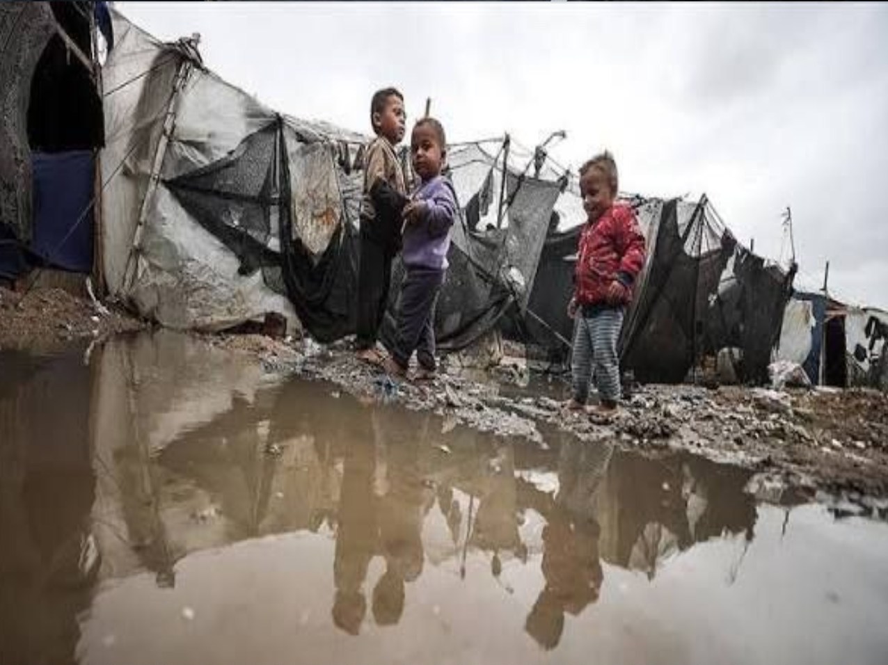 نوار غزه , کشور فلسطین , سیل , سیل زده , طوفان الاقصی , آوارگان , 
