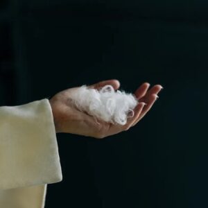 هوش مصنوعی پرهای مرغ را به پارچه کشمیر تبدیل می‌کند