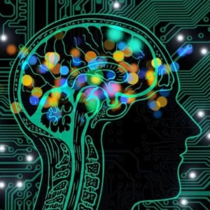 هوش مصنوعی چیست؟ معرفی کامل به زبان ساده + کاربردهای واقعی هوش مصنوعی چیست؟ معرفی کامل به زبان ساده + کاربردهای واقعی