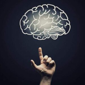 کاتاتونیا (Catatonia) چیست ؟ کاتاتونیا (Catatonia) چیست ؟