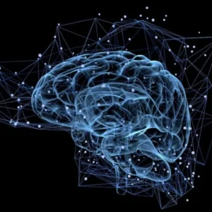 آیا استفاده از ChatGPT مغز را تنبل می‌کند؟ مطالعه جدید پاسخ می‌دهد