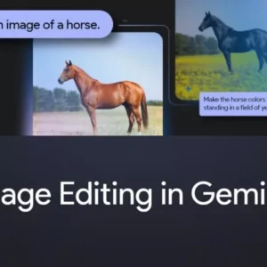 اپلیکیشن جمینای قابلیت ویرایش مستقیم تصاویر را فراهم کرد