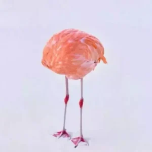 برنده مسابقه عکاسی هوش مصنوعی، به‌خاطر ارسال عکس واقعی از جایزه محروم شد