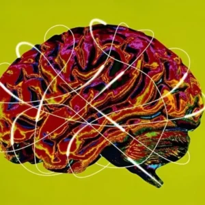 دانشمندان با الهام از مغز انسان، هوش مصنوعی کم‌مصرف می‌سازند