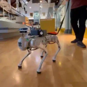 دستاورد محققان چینی: ساخت سگ رباتیک مبتنی بر هوش مصنوعی برای راهنمایی نابینایان