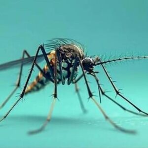 راهکار دانشگاه انگلیسی برای مقابله با مالاریا با استفاده از پهپاد و هوش مصنوعی راهکار دانشگاه انگلیسی برای مقابله با مالاریا با استفاده از پهپاد و هوش مصنوعی