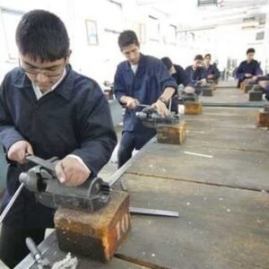 پرداخت حق بیمه دانشآموزی در پیامرسان شاد فعال شد پرداخت حق بیمه دانشآموزی در پیامرسان شاد فعال شد