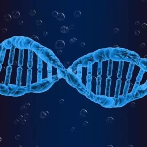 پژوهش جدید: محققان تأثیر شخصیت افراد بر بیان ژن‌ها در بدن را نشان دادند