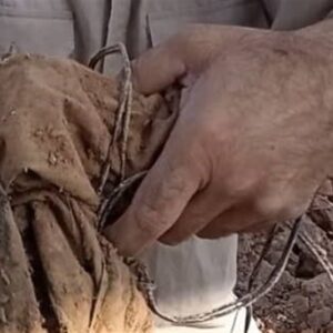 کشف پیکر مطهر شهیدی که با سیم تلفن دست و پایش را بسته بودند کشف پیکر مطهر شهیدی که با سیم تلفن دست و پایش را بسته بودند