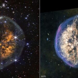 پرتره مرگ یک ستاره در قالب مغز انسان؛ هنرنمایی بی‌نظیر تلسکوپ جیمز وب