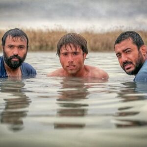 «پل» در هورِ ابهام «پل» در هورِ ابهام