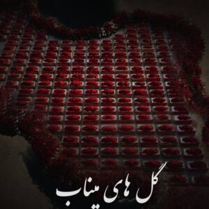 جنایت امریکا و اسرائیل علیه "گل‌های میناب" به روایت موسیقی