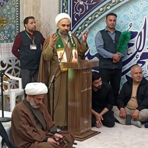 استاد حوزه و دانشگاه: پرچم رضوی نماد حیات طیبه و مقاومت ملت ایران است