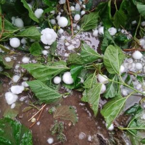 بارش تگرگ در مناطق کوهستانی ایلام