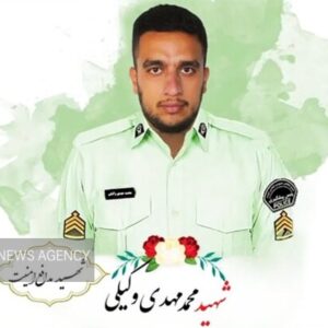 حکم قصاص قاتل شهید وکیلی اجرا شد