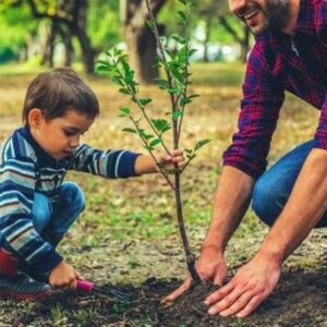 غرس 3000 نهال مثمر به نام و یاد رهبر شهید