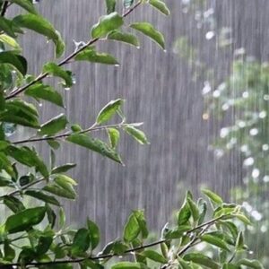 فردا رگبار بهاری همه استان اصفهان را در برمی‌گیرد