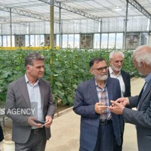 «نظارت مستمر» ضریب خودکفایی را بالا می‌برد؛ «کشاورزان» مجاهدان بی‌ادعا