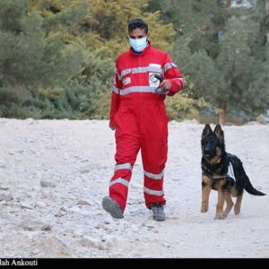 همدلی زیرکانه؛ راز بقا در فرهنگ ایرانی / تقدیر از سگ زنده یاب روی صحنه