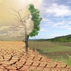 کرامت انسان در نگاه امام سجاد؛ تفسیر عملی آیه‌ی «لقد کرمنا بنی آدم»