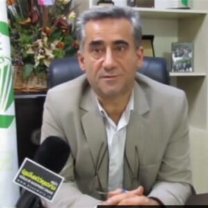 کمبودی بازار کاغذ را تهدید نمیکند کمبودی بازار کاغذ را تهدید نمیکند