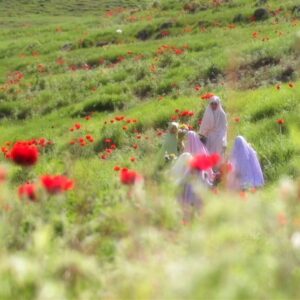 الگوی دینیِ حضور زن در جامعه؛ نه انزوا، نه بیمرزی الگوی دینیِ حضور زن در جامعه؛ نه انزوا، نه بیمرزی
