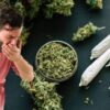 خطر افزایش ابتلا به بیماری‌های روانی با مصرف ماری‌جوانا/ گزارش ساینس‌دیلی