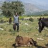 یک جایزه از پاریس و یک حضور جهانی برای «دوچرخه آبی»