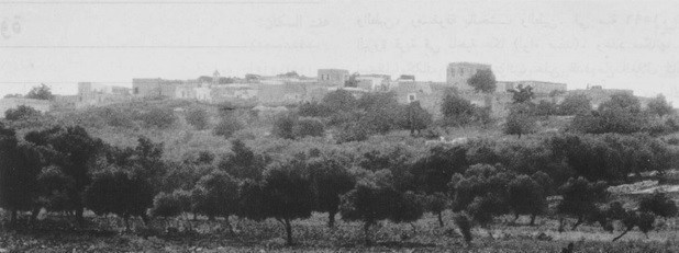 «تو تنها ترانه منی»؛ به یاد محمود درویش که فلسطین از اشعارش میچکید کشور فلسطین , رژیم صهیونیستی (اسرائیل) , ادبیات مقاومت ,