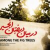 «در میان درختان انجیر»؛ روایت ناب موکب‌داری مادر عراقی در مسیر اربعین