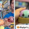 اسکویشی؛ اسباب‌بازی ترندی که کودکان را راهی اتاق عمل می‌کند!