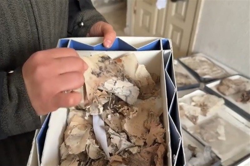 کشور فلسطین , نوار غزه , رژیم صهیونیستی (اسرائیل) , تخریب , کتاب , میراث فرهنگی , یونسکو , 