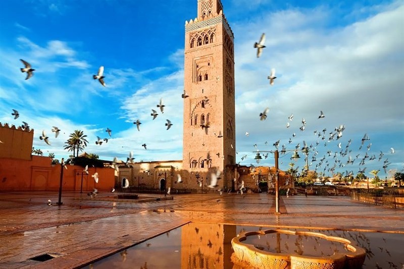 مورد عجیب مراکش؛ اذان در الکتیبه باستانی و جشنوارههای هنری صهیونی رژیم صهیونیستی (اسرائیل) , کشور فلسطین , کشور مراکش | کشور مغرب , تیم ملی فوتبال مراکش , مسلمان , جشنواره های سینمایی , فرهنگ و هنر ,